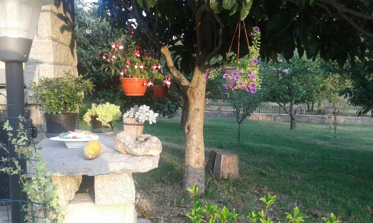 Apartman Nevia Holiday Home Ciritez 外观 照片